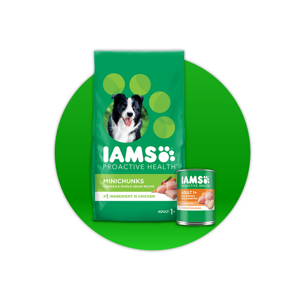 IAMS - Walmart.com