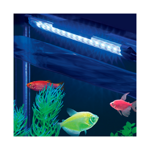 GloFish Walmart